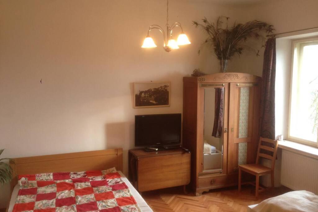 Pod Parkany Studio With View Табор Екстериор снимка