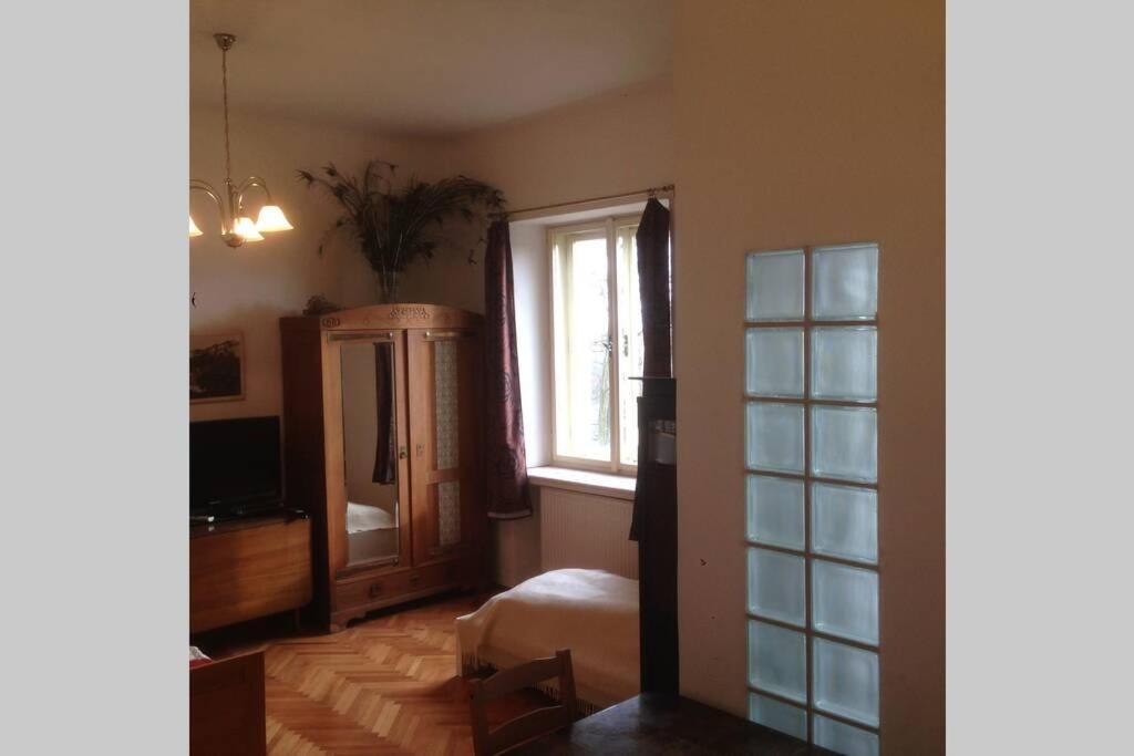 Pod Parkany Studio With View Табор Екстериор снимка