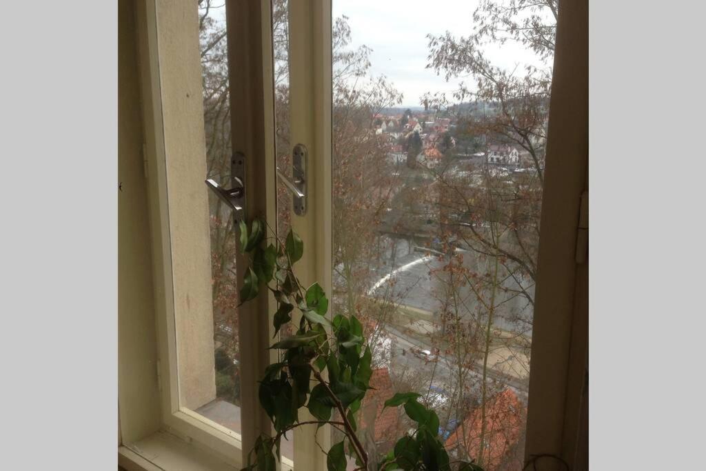 Pod Parkany Studio With View Табор Екстериор снимка